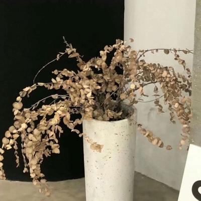 兽设配饰设计灵感FurryQQ群